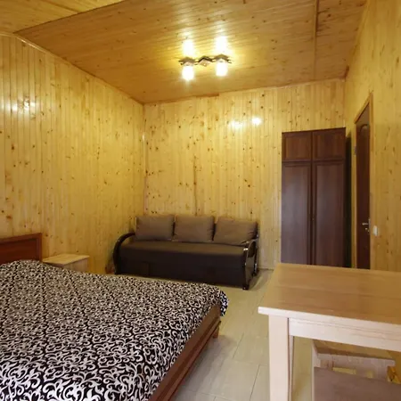 Гірка Hotel Skole